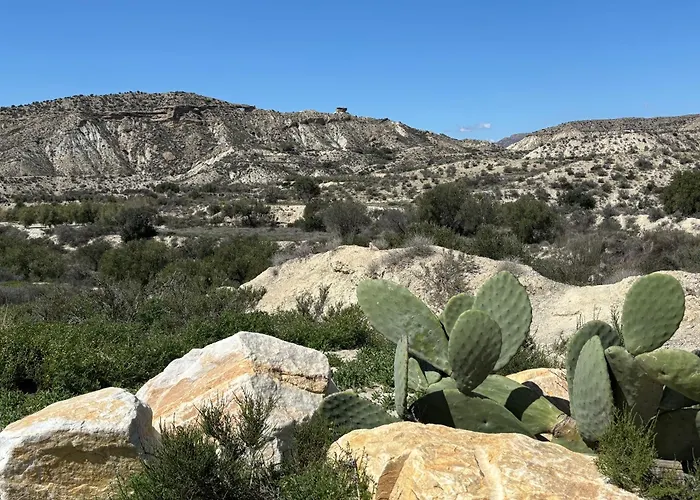 El Sueno De Andalucia